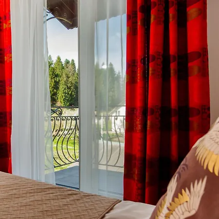 Poeziya Mandriv Hotel *